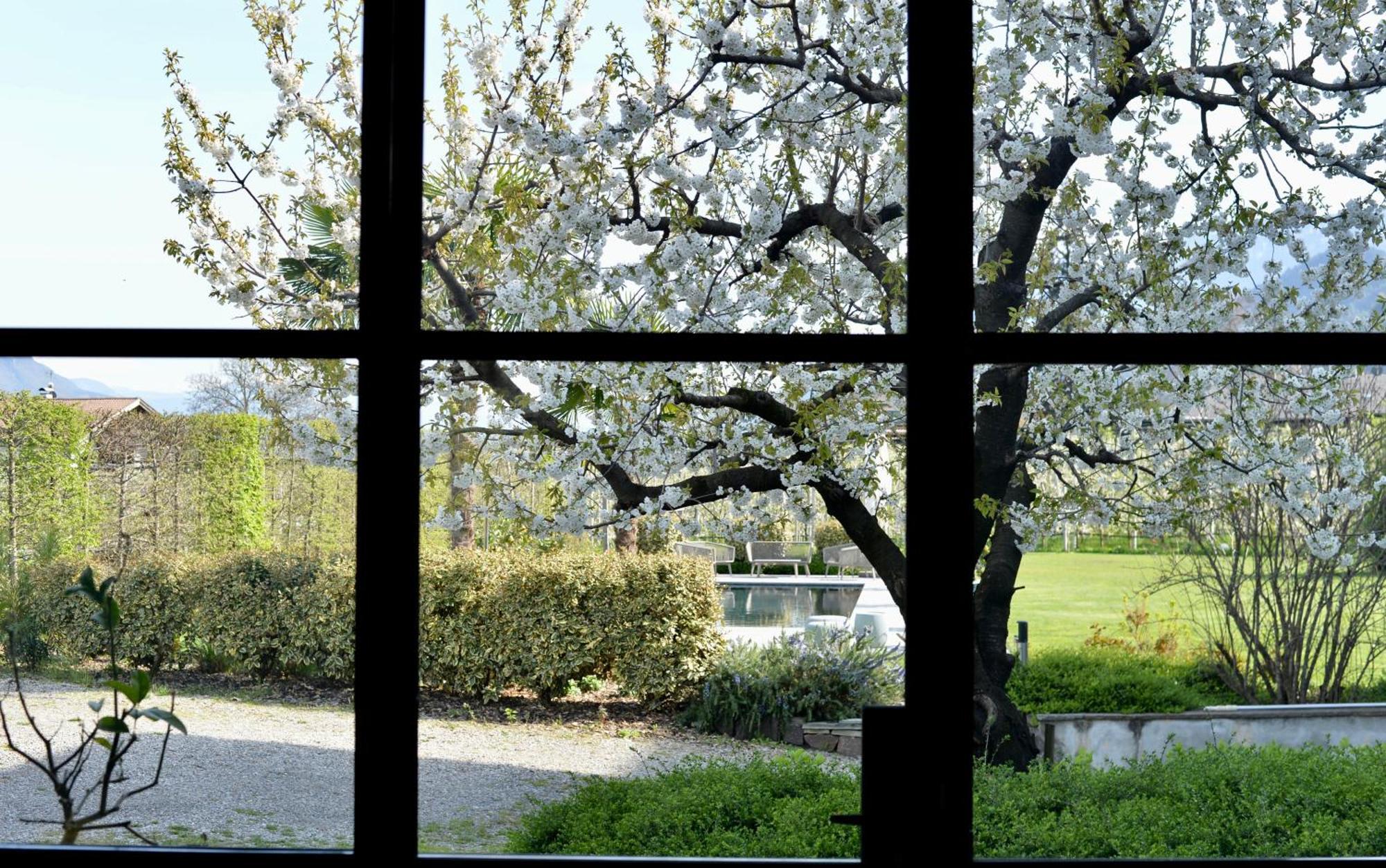 Haus Wiesenstein Lana Buitenkant foto