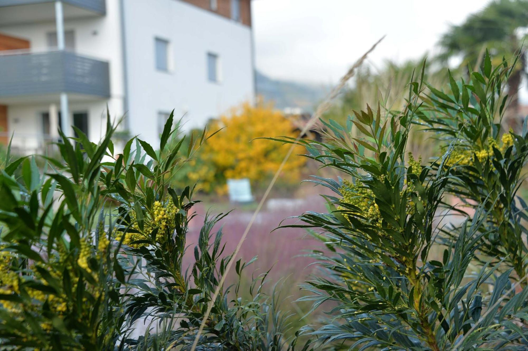 Haus Wiesenstein Lana Buitenkant foto